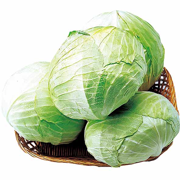 [국내산]양배추